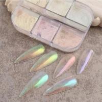 İnci Tozu Protez Tırnak Nail Art Tırnak Tozu