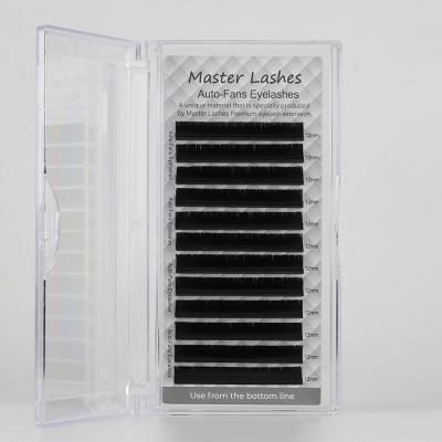 Master Lashes İpek Kirpik Auto-fan Çek Bırak Kolay Volüm 0,07C