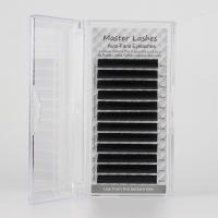 Master Lashes İpek Kirpik Auto-fan Çek Bırak Kolay Volüm 0,07D