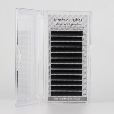 Master Lashes İpek Kirpik Auto-fan Çek Bırak Kolay Volüm 0,07D