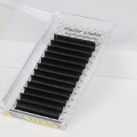 Master Lashes İpek Kirpik Auto-fan Çek Bırak Kolay Volüm 0,07D